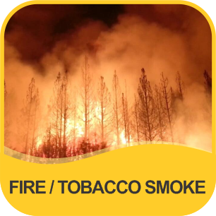 FIRE SMOKE/TOBACCO SMOKE & SMELL